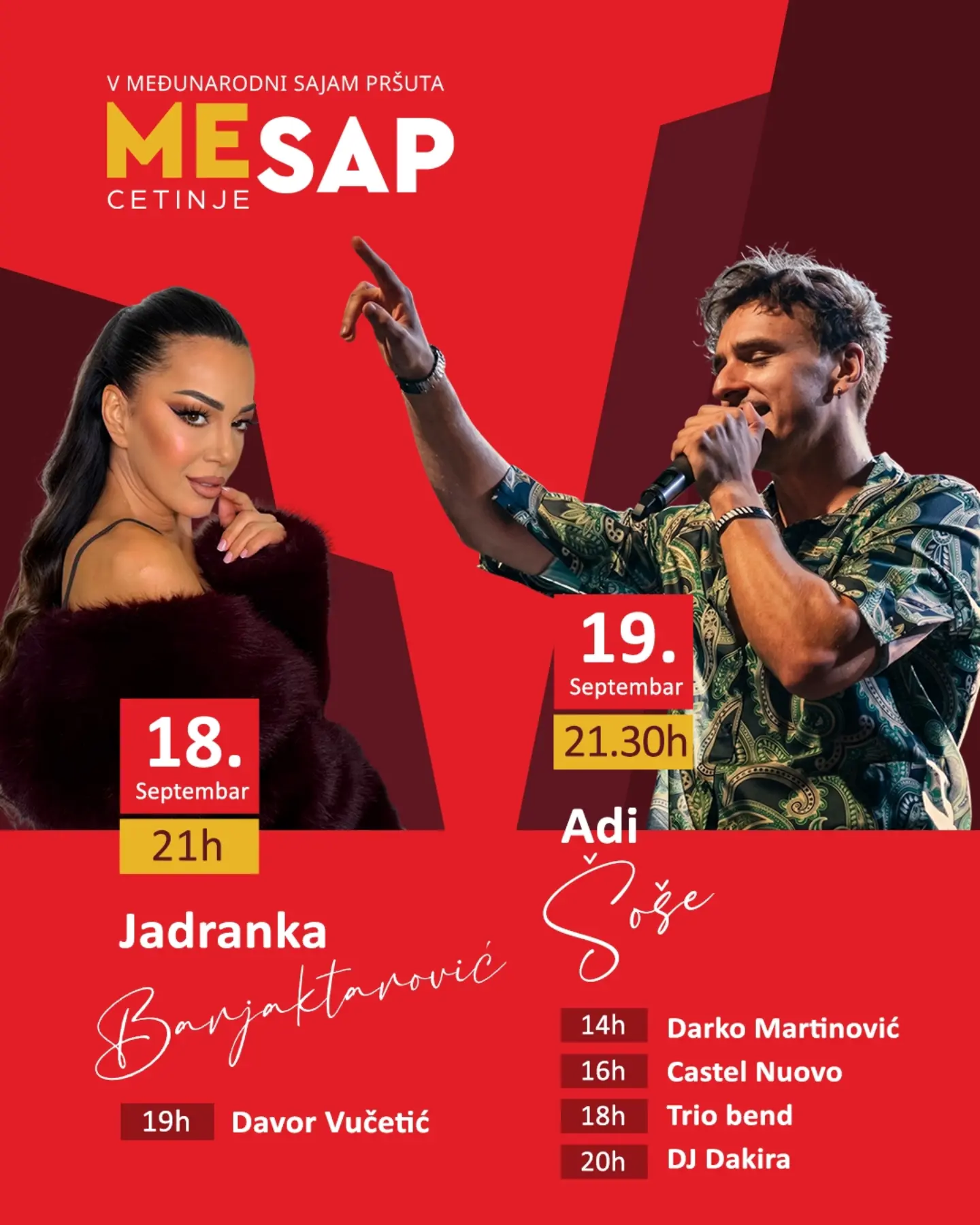 Adi Šoše Concert