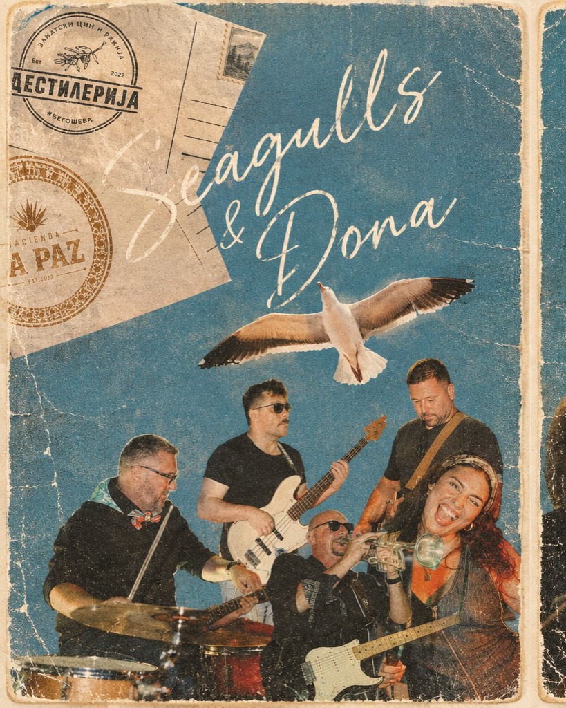 Seagulls & Dora