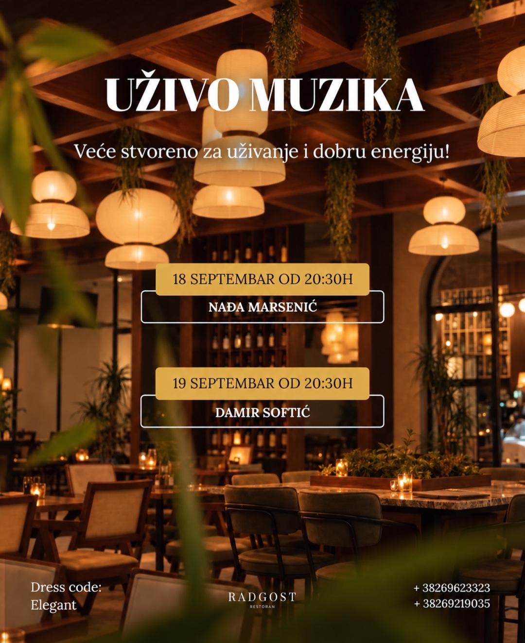 Live Music with Damir Softić
