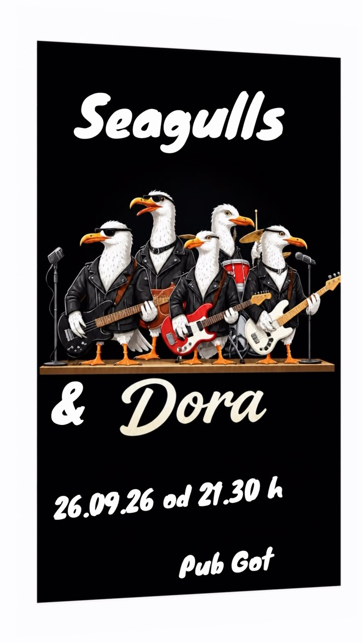 Seagulls & Dora Live at Pub Got
