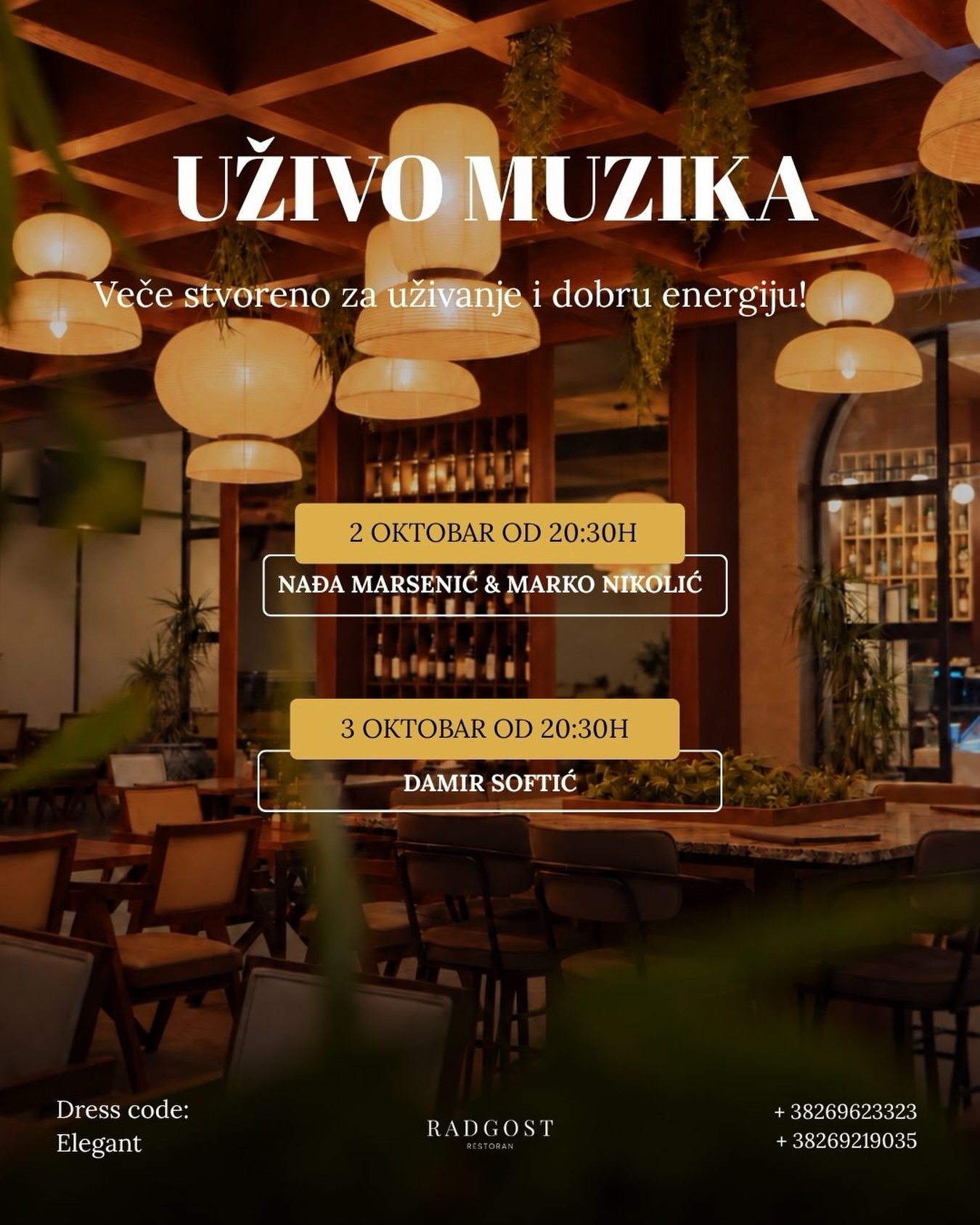 Live Music Night: Damir Softić