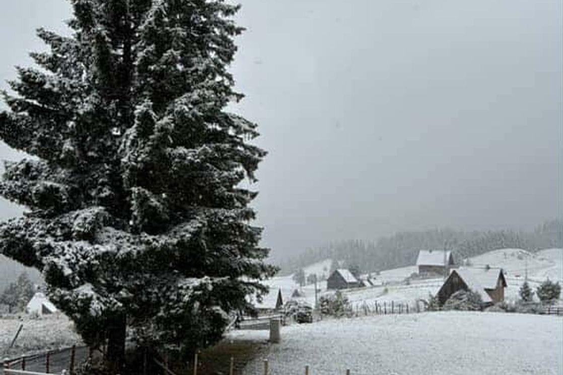 ❄️ На севере Черногории выпал первый снег...