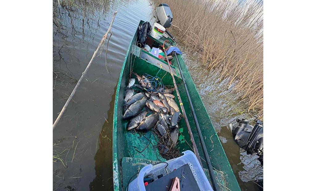🐟 Запрет на рыбалку в Скадарском озере...