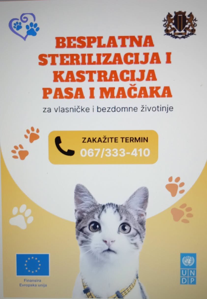 🐾 В Баре стартуют бесплатные стерилизации животных...