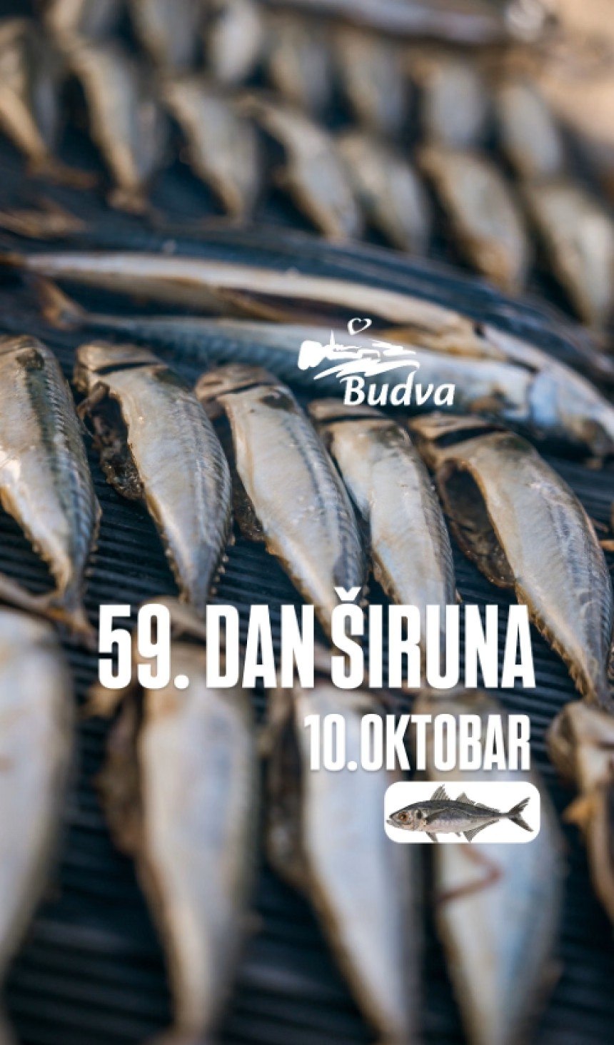 🐟 Будва готовится к празднику Dan širuna....