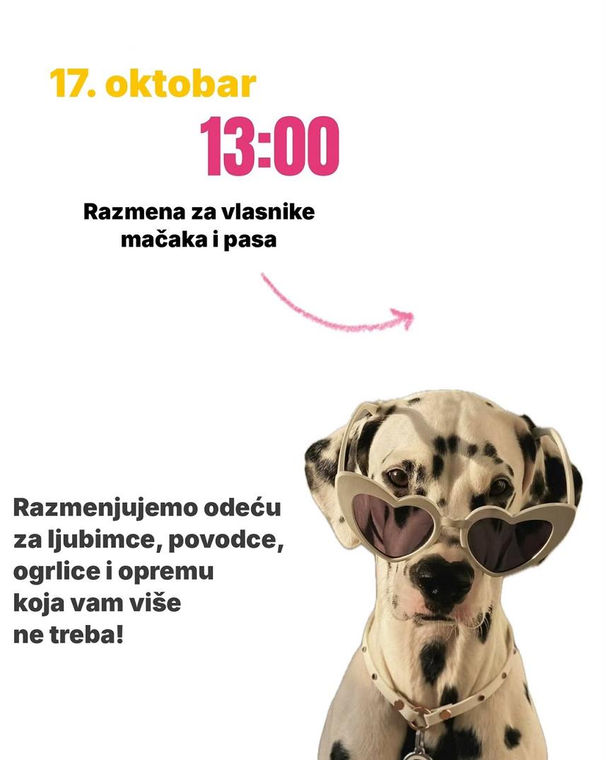 🐾 Бесплатный обмен вещами для питомцев в...